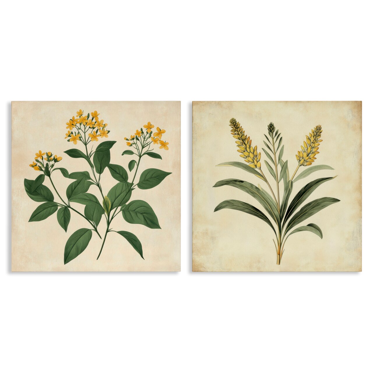 Stupell Industries Vintage Yellow Bushels and Wheat 2pc Canvas Set, design by Petal Prints Design